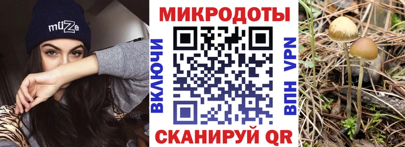 Псилоцибиновые грибы мухоморы  Купить где  Емва 